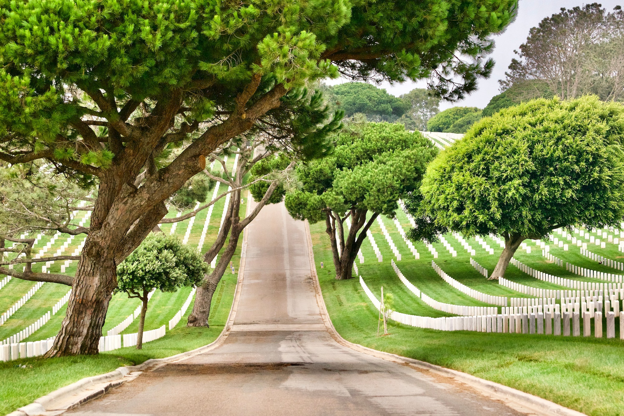 Fort Rosecrans National Cemetery